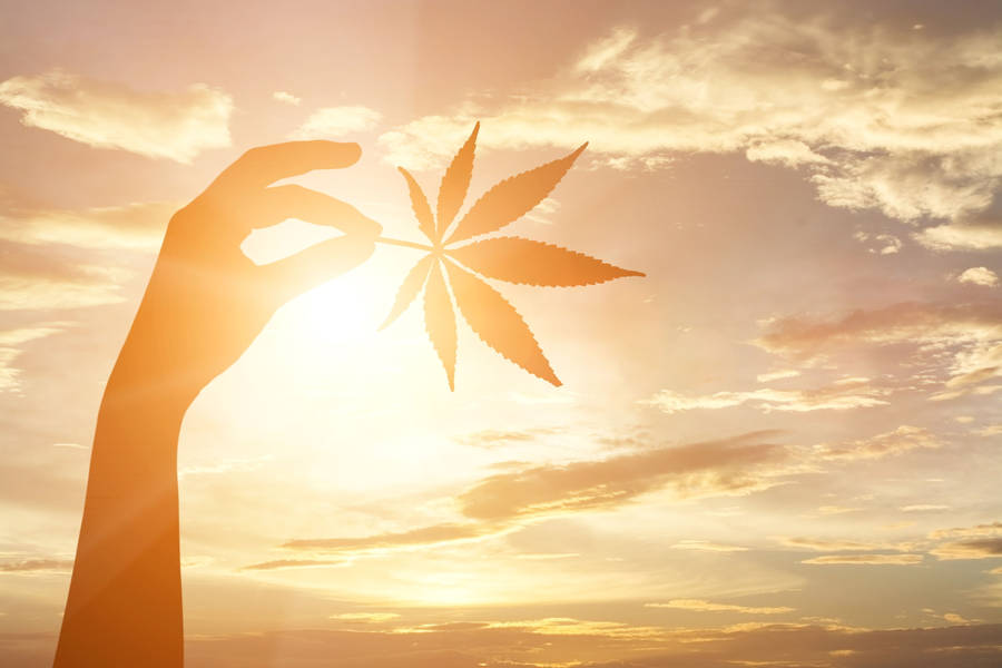 Aesthetic Marijuana Weed Wallpaper