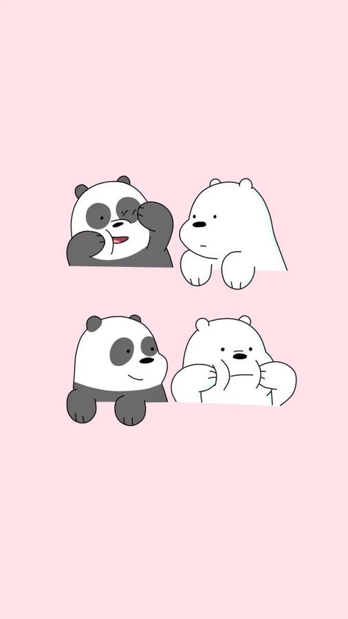 Aesthetic Panda And Polar Bear Wallpaper