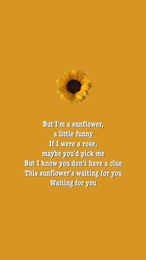 Aesthetic Sunflower Quotes Wallpaper