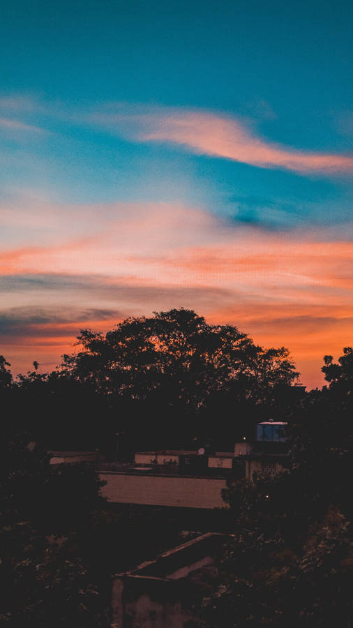 Aesthetic Sunset With Tree Silhouette Wallpaper