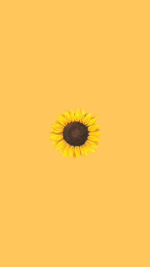 Aesthetic Yellow Iphone Wallpaper