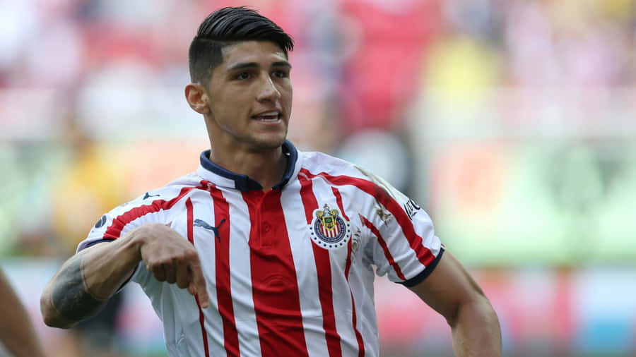 Alan Pulido Proud Celebration Wallpaper