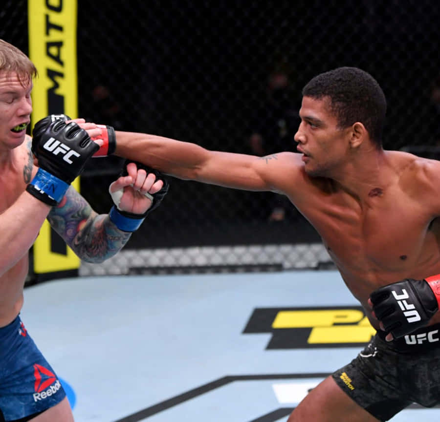 Alex Caceres Vs Austin Springer Wallpaper