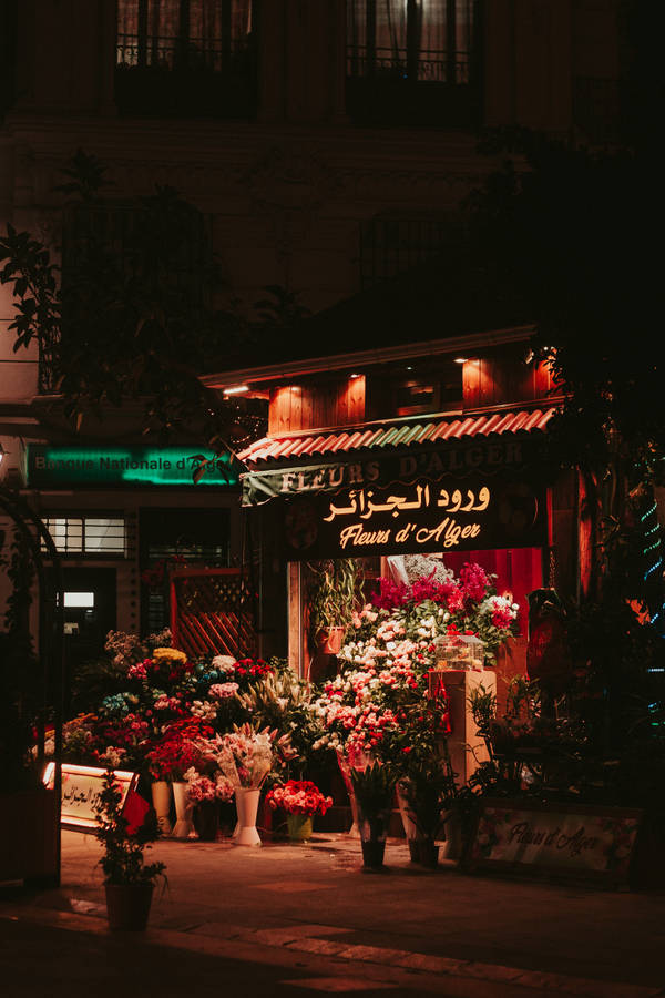 Algeria Flower Store At Night Wallpaper