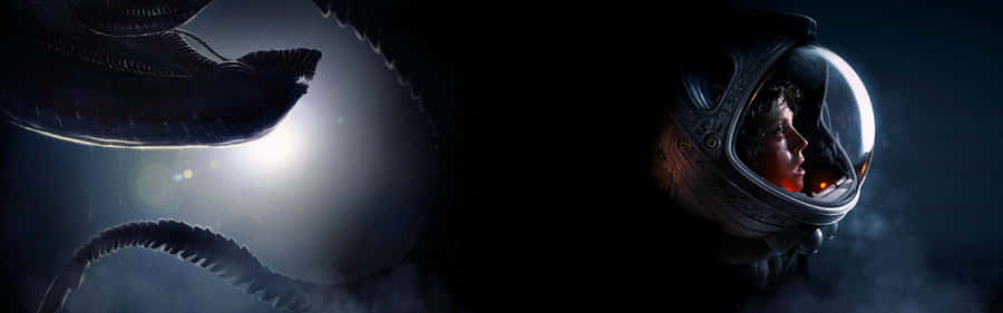 Aliens Vs Predator Hd Wallpaper Wallpaper