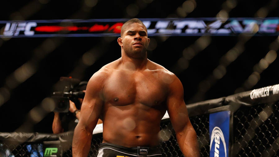 Alistair Overeem Standing In The Octagon Wallpaper