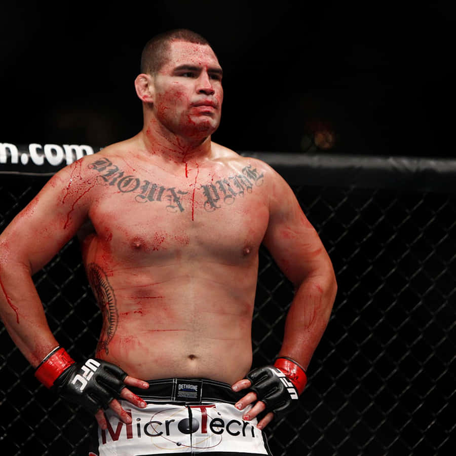 American Athlete Cain Velasquez Versus Antonio Silva Wallpaper