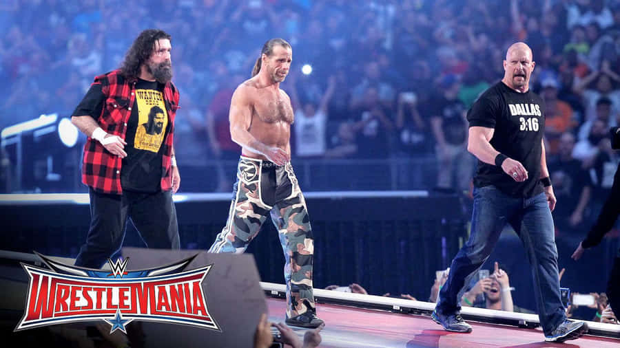 American Veteran Wrestler Mick Foley Shawn Michaels And Steve Austin Wallpaper