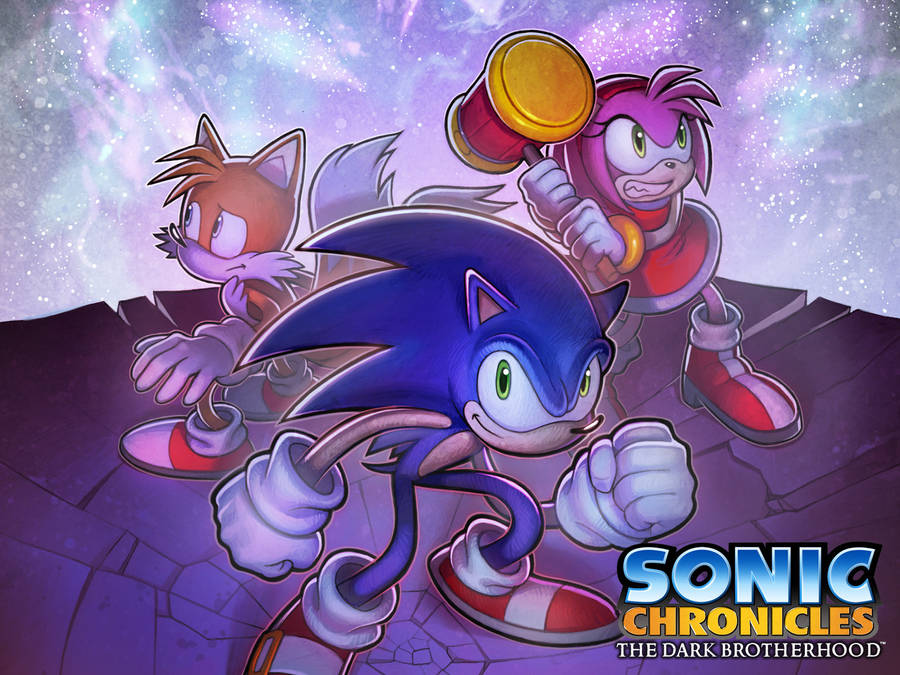 Amy Rose Sonic Chronicles Battle Wallpaper