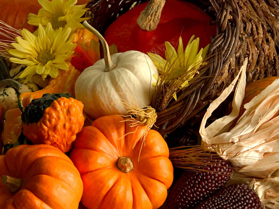 An Abundance Of Fresh Fall Vegetables Wallpaper