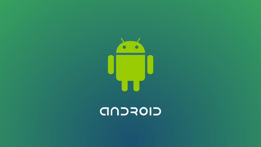 An Android Developer Works On The Latest Project Wallpaper