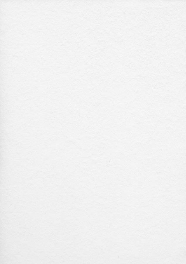 An Elegant Yet Bright White Interior Wallpaper