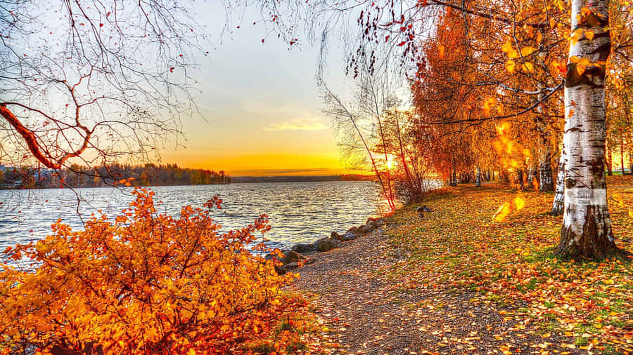 An Idyllic Fall Landscape By The Lake Wallpaper