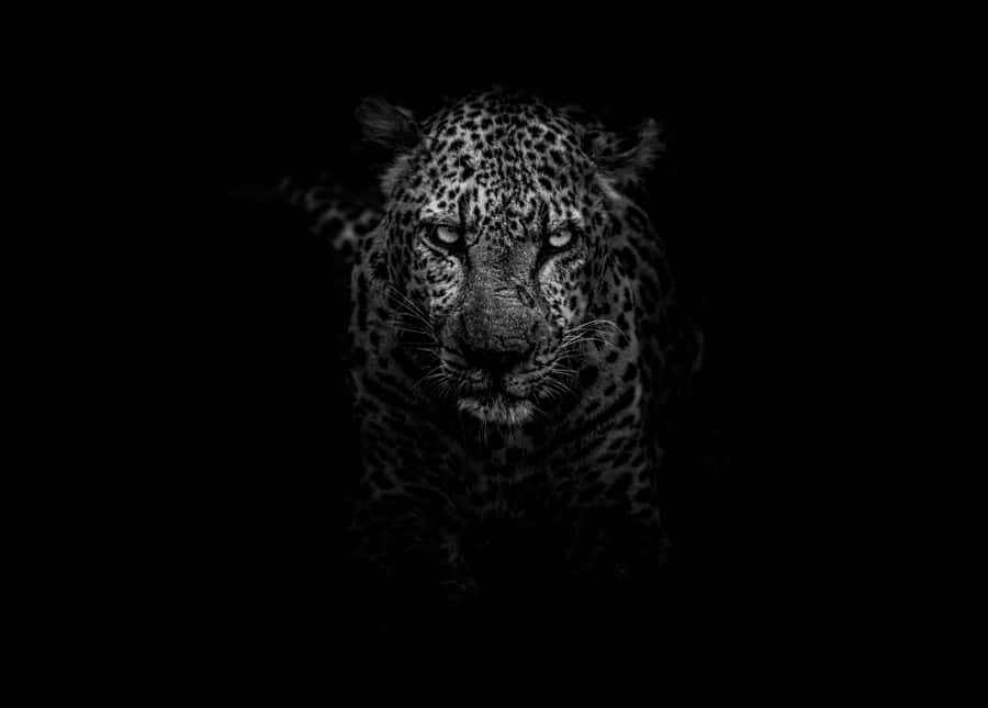 An Upside Down View Of The World Wallpaper