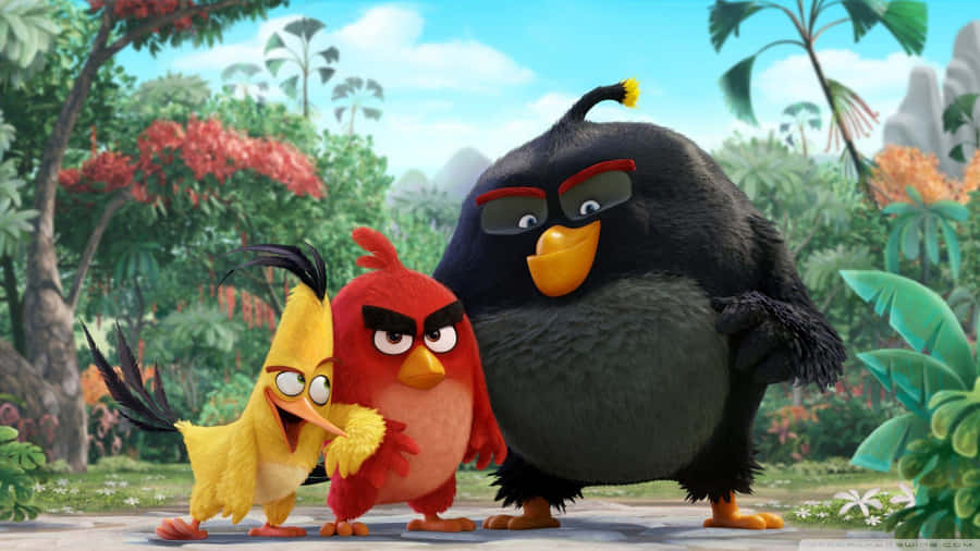 Angry Birds Trio Adventure Wallpaper