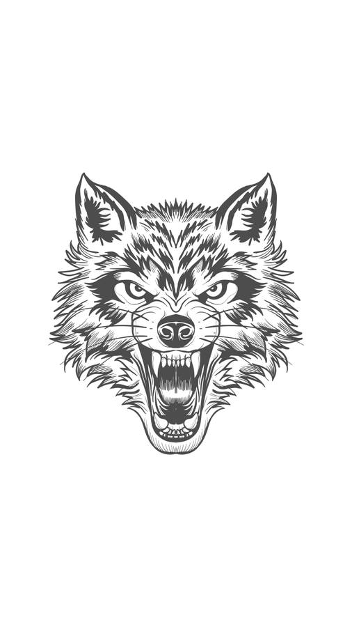 Angry Wolf Head Hd Tattoo Wallpaper