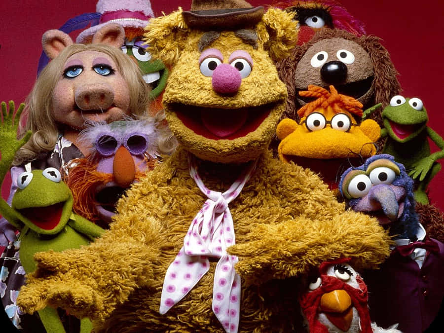 Animal Muppet Brings Smiles And Laughter To All Wallpaper