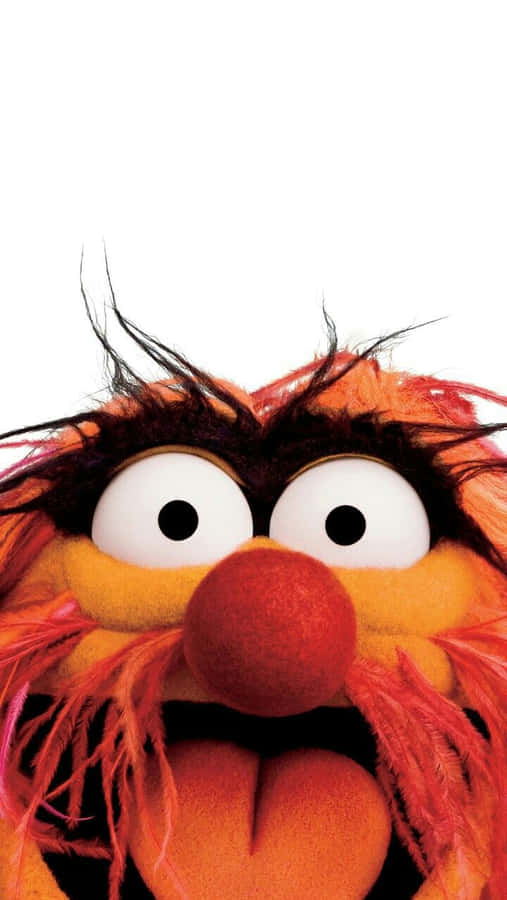 Animal Muppet Is Part Of The Legendary Muppet Gang. Wallpaper