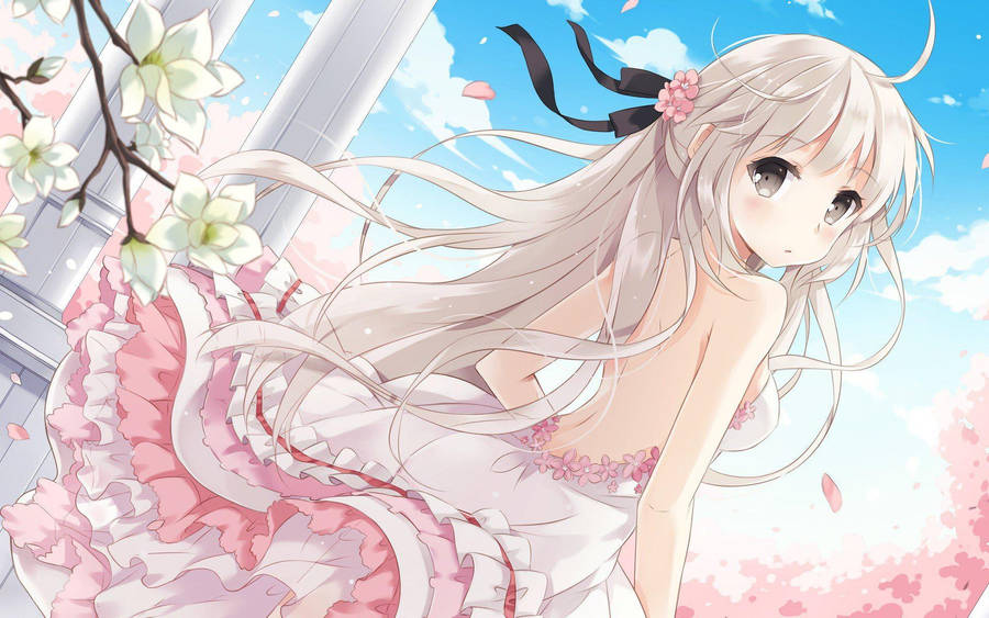 Animated Cute Girl Cherry Blossom Wallpaper