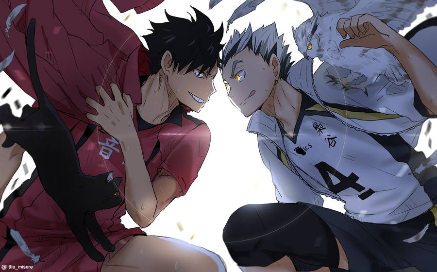 Anime Boys Cute Tetsuro And Bokuto Wallpaper