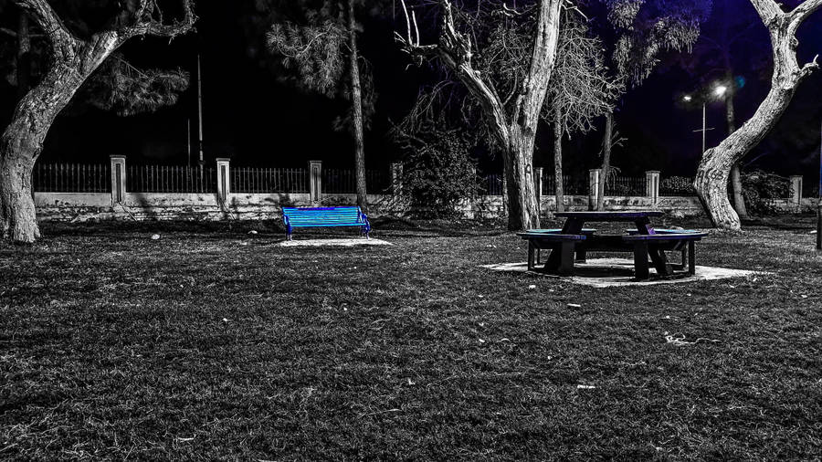 Anti Social Blue Bench Wallpaper
