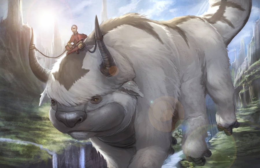 Appa And Aang Graphic Sketch Wallpaper