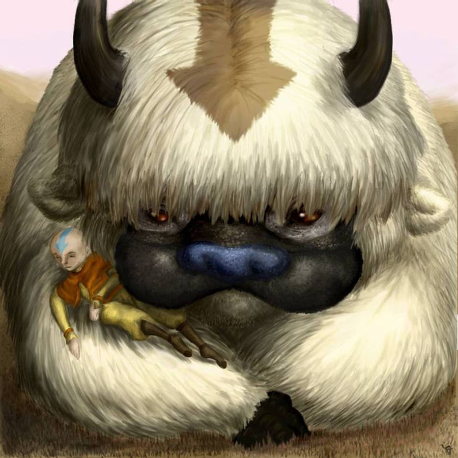 Appa Close-up Shot Wallpaper