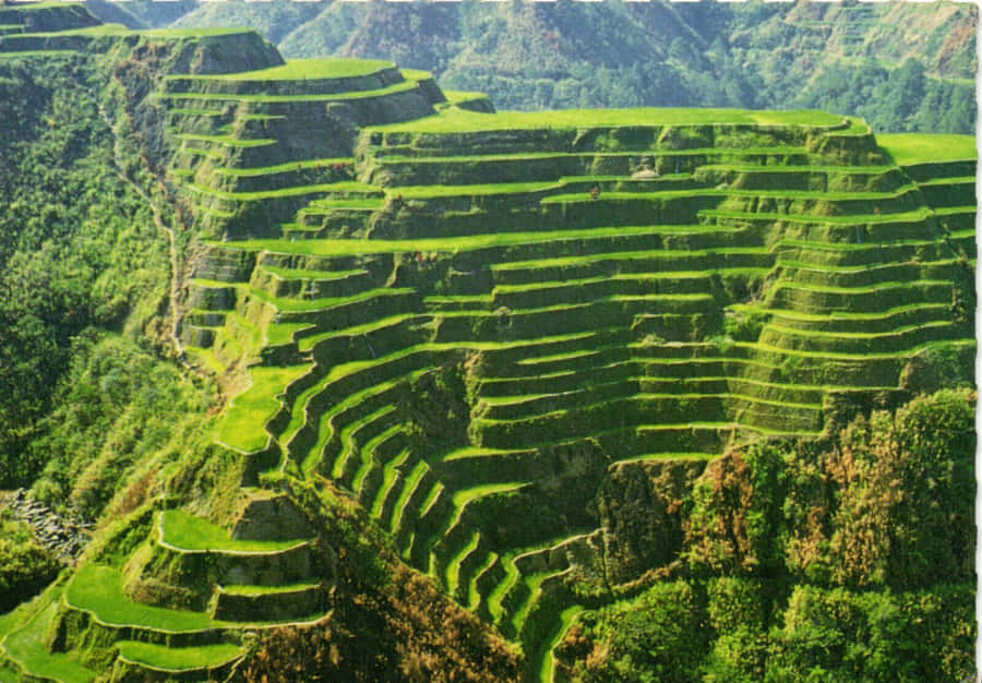 Astonishing Scenery Of Banaue Rice Terraces Wallpaper
