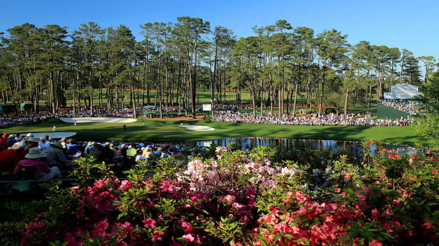 Augusta National Golf Course Garden Wallpaper