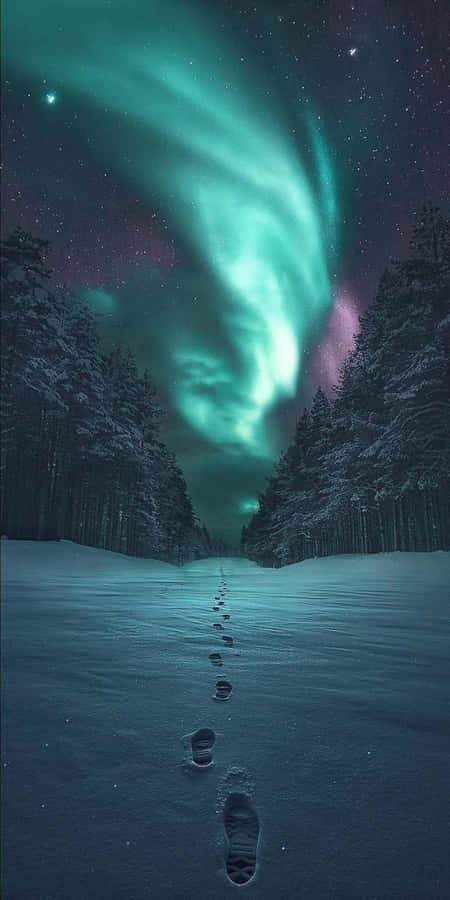 Aurora Borealis As A Lit Iphone Wallpaper Wallpaper