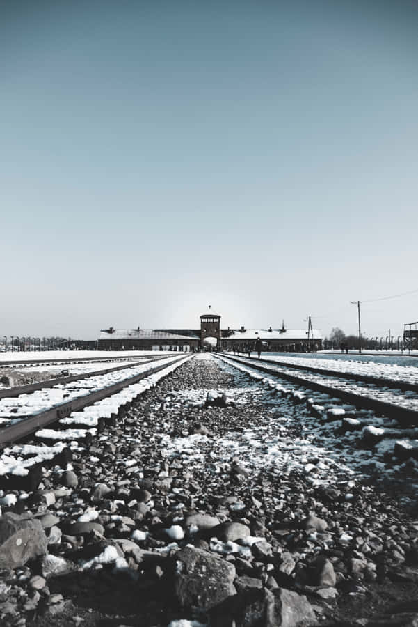 Auschwitz Birkenau Concentration Camp Aesthetic Portrait Wallpaper