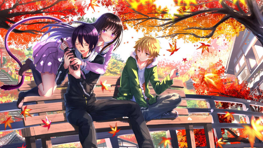 Autumn Noragami Artwork Wallpaper