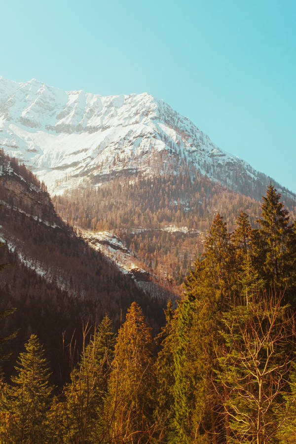 Autumn Phone Mountain Wallpaper