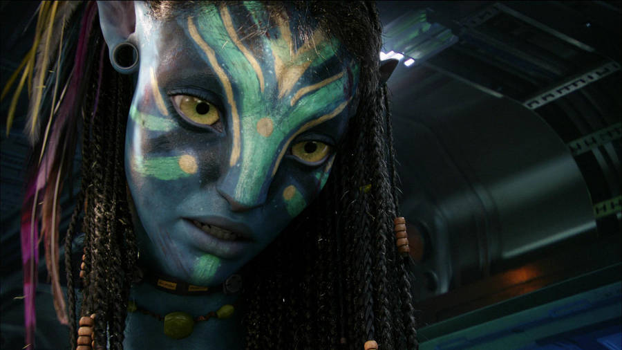 Avatar Neytiri In A Ship Hd Wallpaper