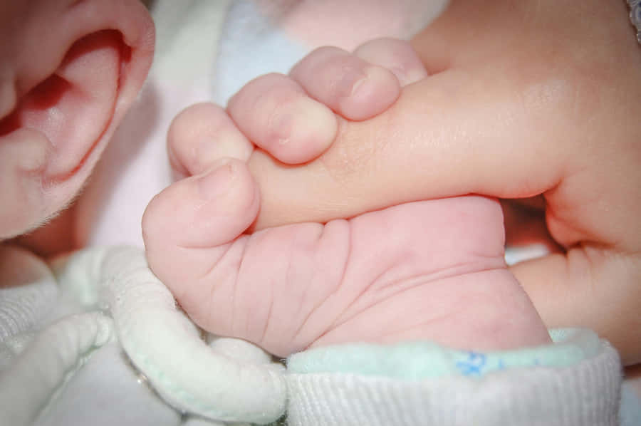 Baby Hand Holding Finger Photo Wallpaper