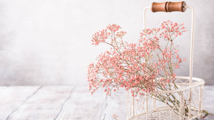 Baby Pink Aesthetic Flower Decoration Wallpaper