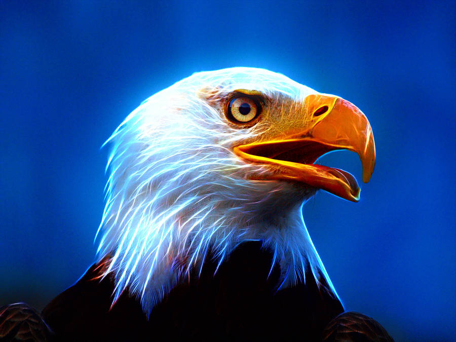 Bald Eagle Painting Wallpaper
