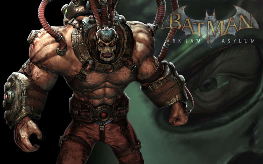 Bane From Batman Arkham Asylum Wallpaper