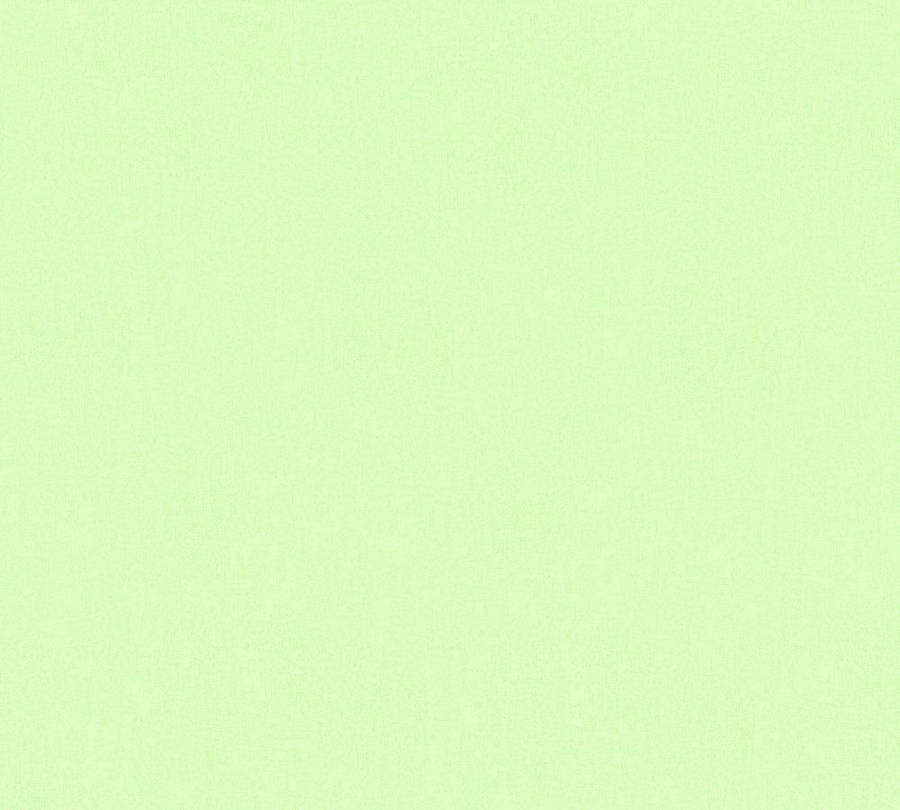 Bare Light Green Plain Wallpaper