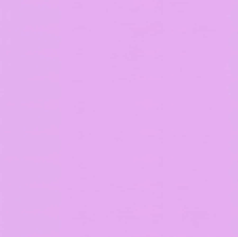 Basic Lavender Purple Color Wallpaper