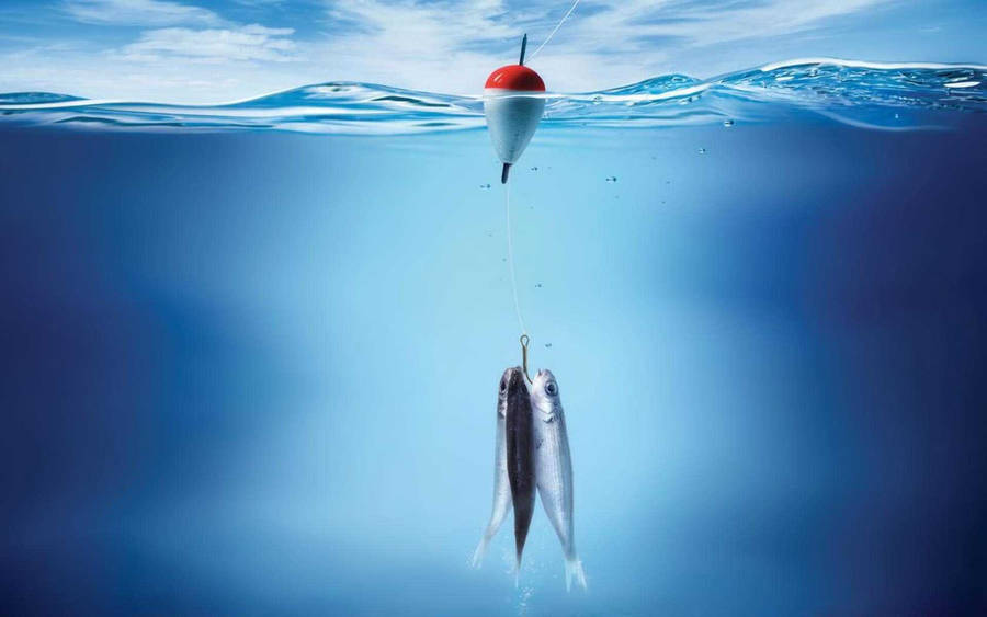 Bass Fishing Bait Wallpaper