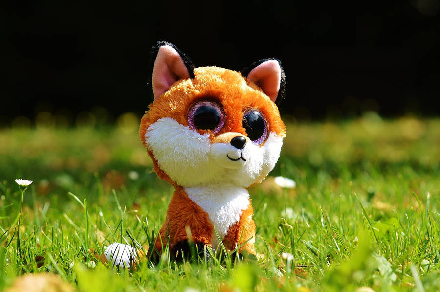 Beanie Boos Fox On The Grass Wallpaper