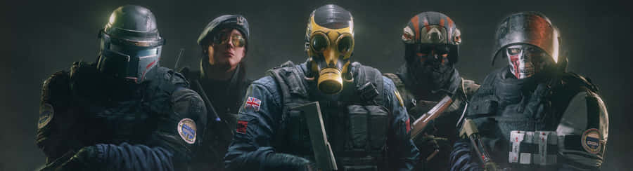 Beautiful Colorful Grassy Meadow On A Sunny Day Wallpaper