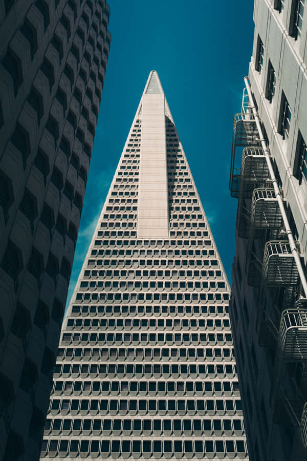 Beautiful Design Of The Transamerica Pyramid Wallpaper
