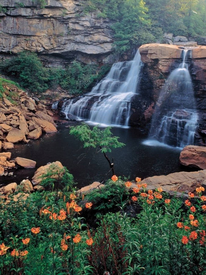 Beautiful Waterfall Flow Into Lake Wallpaper