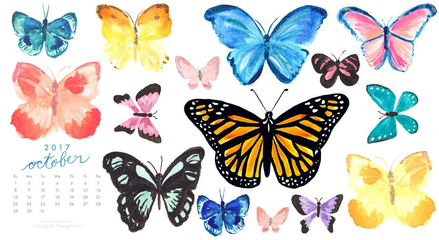 Beauty Of The Butterflies Of October Wallpaper