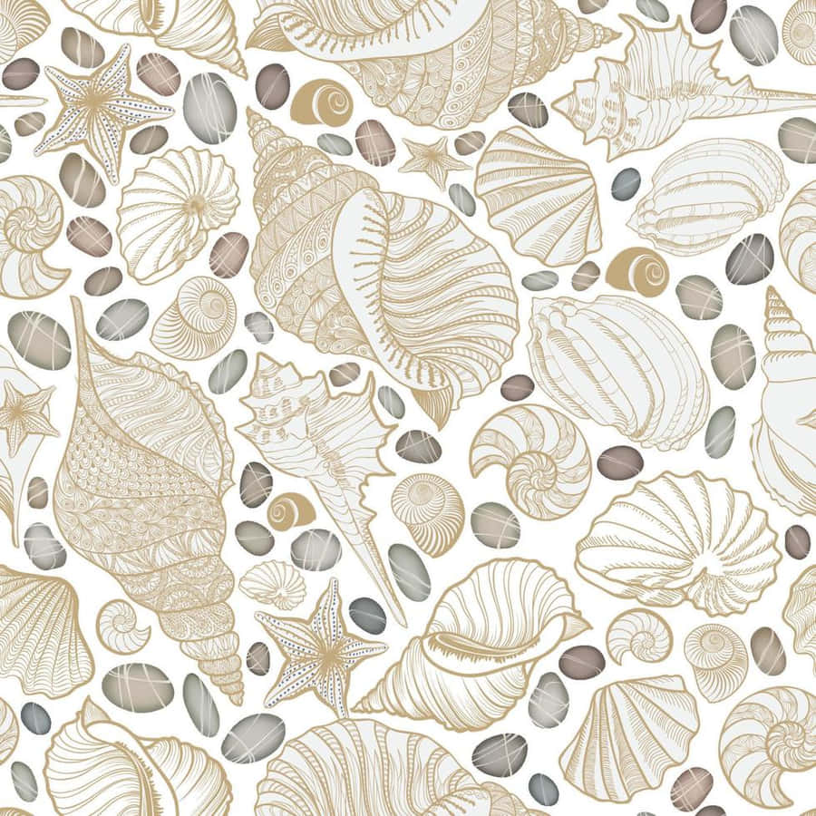 Beige Aesthetic Seashell Art Wallpaper