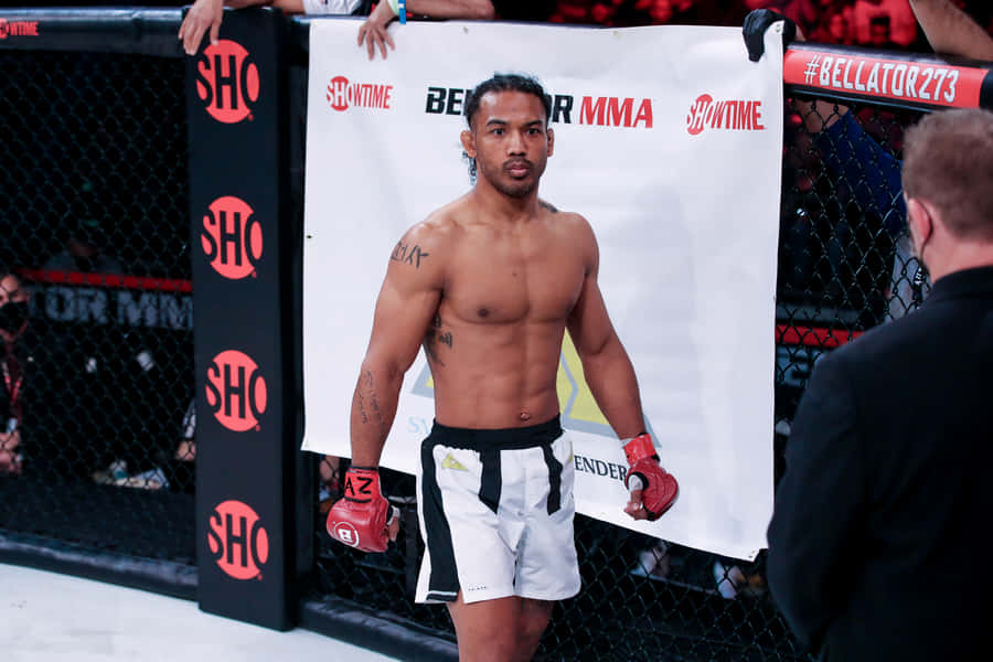 Bellator Star Ben Henderson Inside The Ring Wallpaper
