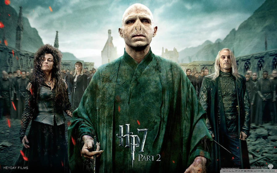 Bellatrix Lestrange In Harry Potter 8 Wallpaper