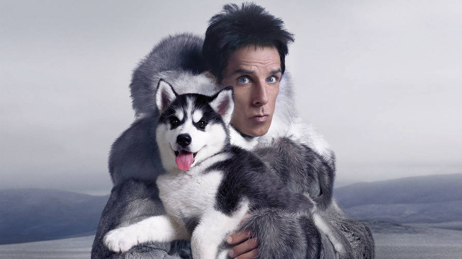 Ben Stiller With A Husky Wallpaper